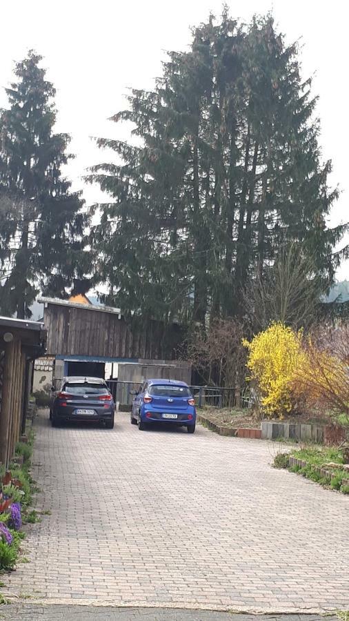 Ferienwohnungen! Kleine Bungalows Mit Terrasse! Stockhausen-Illfurth Eksteriør billede